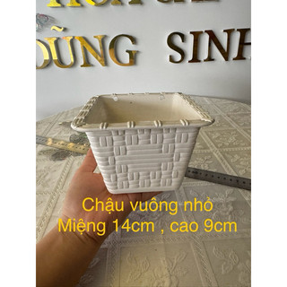 chậu nhựa cắm hoa