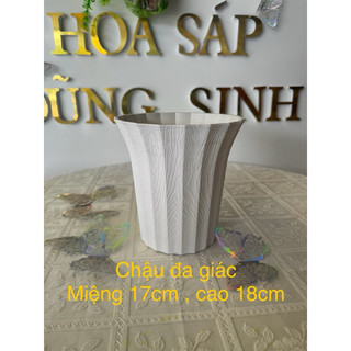 chậu nhựa cắm hoa