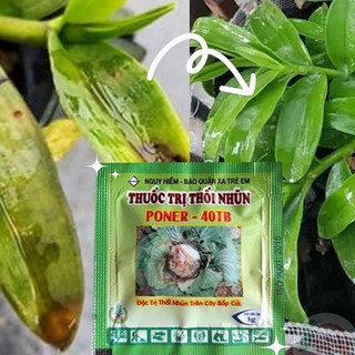 [rẻ vô địch] combo trống thối nhũn ( 1 lọ chế phẩm trừ thối nhũn thái lan captan và 3 viên thối nhũn poner-40tb )