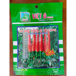 Hạt giống Ớt Hiểm Lai F1 (VA.99999) – 5gram GIỐNG CỰC CHUẨN