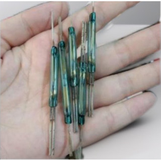 5 cái công tắc từ loại to màu xanh 3 chân 5x36 mm