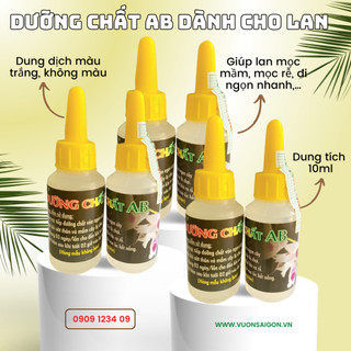 Dưỡng chất AB Ngọc Linh dưỡng mầm cho hoa phong lan, giúp phục hồi cây nhanh chóng