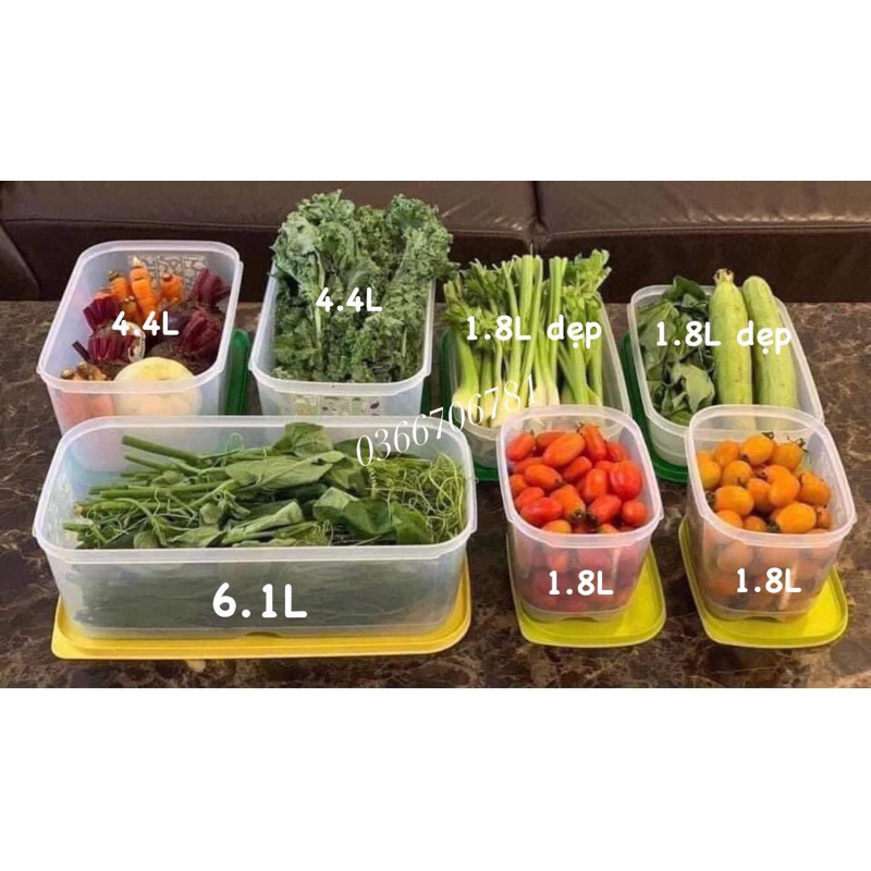 Bộ hộp trữ mát Vensmart set 7