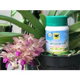Phân bón cao cấp đầu trâu 501 lọ 100g dùng cho lan, tăng khả năng ra lá