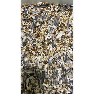 1KG Hạt Trộn Vẹt Sun , greencheeck , ringneck , Monk , Lory , Ngực Hồng và các dòng cùng Size