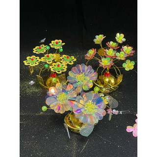 Cây kim tiền  thành phẩm M40