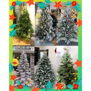 Cây thông Noel Chaang Chiia NHIỀU MẪU cao 1m5, 2m. Cây thông noel PE, cây thông cước, cây thông phủ tuyết
