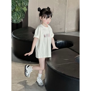 Áo thun cộc tay labubu stusi gia đình,áo cotton cho bé tra,gái uinise,mouse KIDS(G08)
