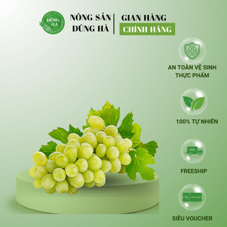 NHO XANH NINH THUẬN ngon, ngọt, hỗ trợ giảm cân hiệu quả