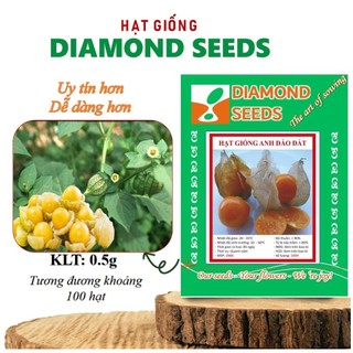Hạt giống cây tầm bóp hạt giống trái anh đào đất/ thù lù nam mỹ gold