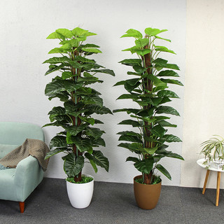 Cây Trầu Bà Cột Giả 160cm - 63 lá (Kèm Chậu Nhựa)