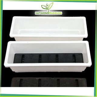 [HOT] Combo 5 chậu chữ nhật thông minh 48cm (chậu chữ nhật trồng rau, trồng hoa) c/lượng, hg C/ty.
