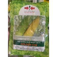 Hạt giống ngô ngọt lai f1 golden cob 100gram - hạt ngô to đều hạt