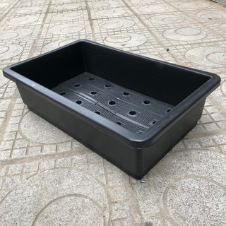 combo 5 chậu chữ nhật trồng rau màu đen/xanh