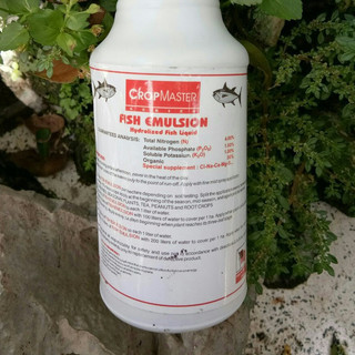 [SIEURE] Phân bón hữu cơ Fish Emulsion Đạm cá Mỹ 250ml hàng đẹp, phân phối chuyên nghiệp.