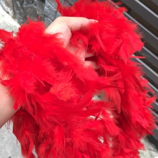 Lông vũ đen, phụ kiện chụp ảnh nail