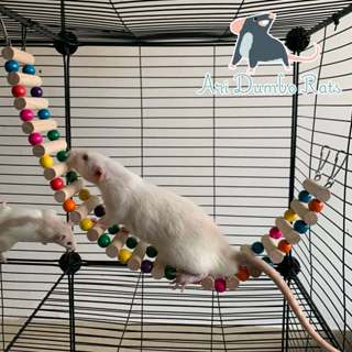Thang gỗ leo cho Rat Chuột Hamster Vẹt Dùng Trang Trí Chuồng Thú Nuôi