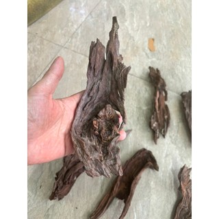 Lũa Bé Trang Trí Bể Cá - Bể Thủy Sinh