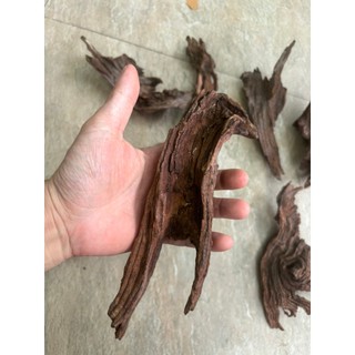 Lũa Bé Trang Trí Bể Cá - Bể Thủy Sinh