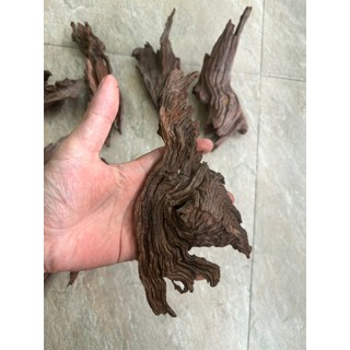 Lũa Bé Trang Trí Bể Cá - Bể Thủy Sinh