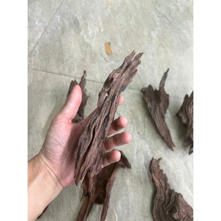 Lũa Bé Trang Trí Bể Cá - Bể Thủy Sinh