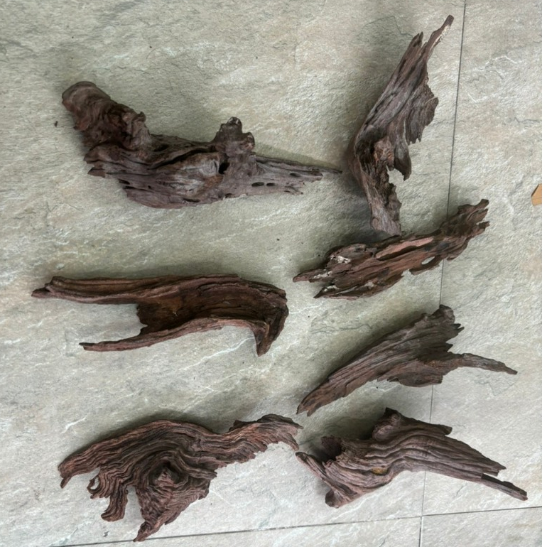 Lũa Bé Trang Trí Bể Cá - Bể Thủy Sinh