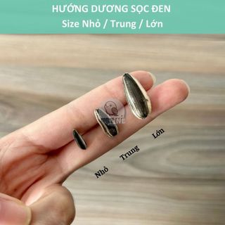 Hạt hướng dương đen sọc - size nhỏ / trung / lớn - vẹt, hamster,...