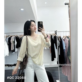 Áo thun nữ hàng chuẩn đẹp phong cách hàn quốc miestore123 AK05