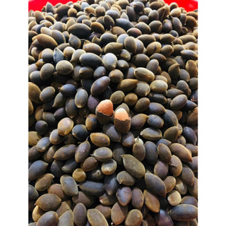 500g say nhung tươi quả to đẹp mình có lựa kỹ