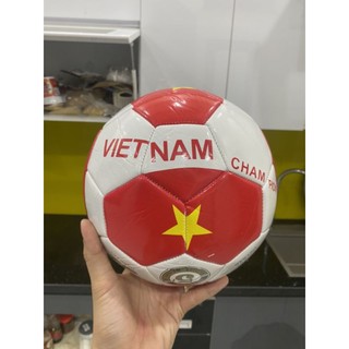 Bóng đá động lực số 5 nhiều màu ( tậng kim + túi lưới )