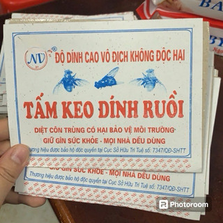 Combo 10 Tấm Keo Dính Ruồi Siêu Dính