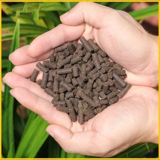 [SIEURE] Cung cấp sỉ-lẻ PHÂN TRÙN QUẾ HỮU CƠ DẠNG VIÊN (2kg) hàng đẹp, phân phối chuyên nghiệp.