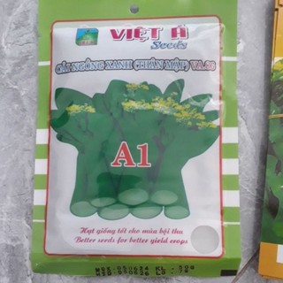 [MUA 5 TẶNG 1] Hạt giống cải Ngồng Xanh Thân Mập