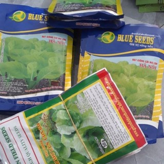 Hạt giống Cải Mơ lùn chọn lọc