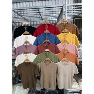 Áo len cộc tay trơn basic - bảng màu pastel