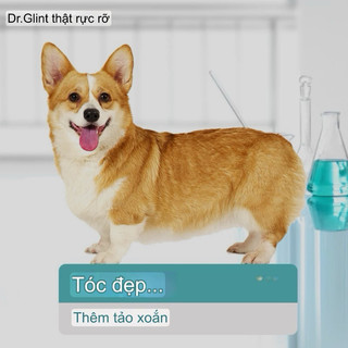 Thức ăn cho chó CORGI - Dr.Glint TÚI 2kg