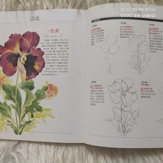 (Notebook) Sổ tay Vẽ 37 loài hoa cơ bản chì màu