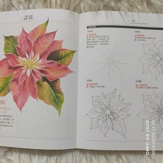 (Notebook) Sổ tay Vẽ 37 loài hoa cơ bản chì màu