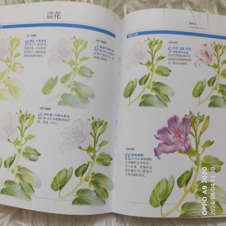 (Notebook) Sổ tay Vẽ 37 loài hoa cơ bản chì màu
