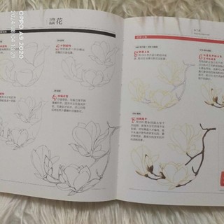 (Notebook) Sổ tay Vẽ 37 loài hoa cơ bản chì màu