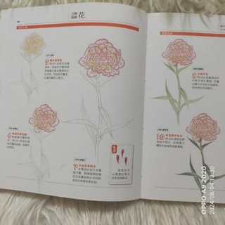 (Notebook) Sổ tay Vẽ 37 loài hoa cơ bản chì màu