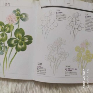 (Notebook) Sổ tay Vẽ 37 loài hoa cơ bản chì màu