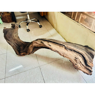 Gỗ lũa setup hồ thuỷ sinh -