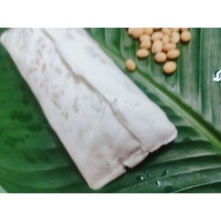 Tempeh đậu nành 500g