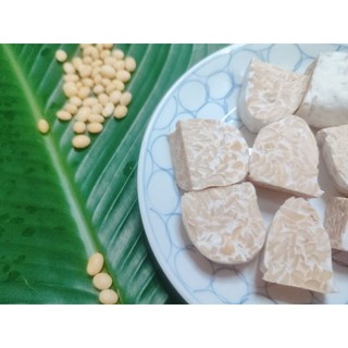 Tempeh đậu nành 500g
