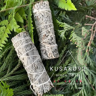 Blue Sage_Xô Thơm Xanh_Thảo Mộc Xông Nhà Thanh Tẩy Không Gian Kusako92 (Sỉ và lẻ)