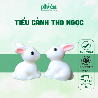 Tiểu cảnh Thỏ Ngọc trang trí sen đá, terrarium, Phụ kiện Tiểu cảnh mini