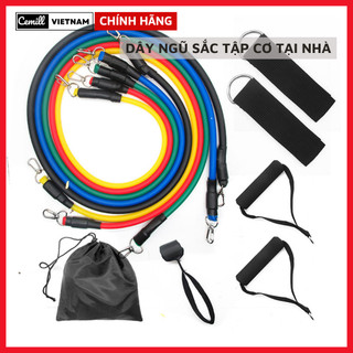 Bộ 5 Dây Ngũ Sắc Đàn Hồi Kháng Lực Tập Gym, Fitness, Yoga- Chính hãng miDoctor