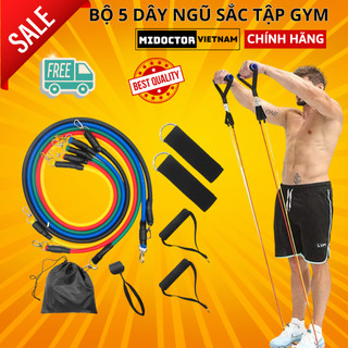 Dây ngũ sắc tập thể hình, kháng lực, tập cơ đùi, cơ mông FULL HỘP - Chính hãng miDoctor