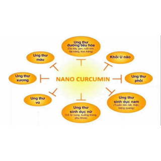 NANO CURCUMIN ANZ LỌ 30ml (viện Hàn Lâm)